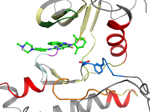 The orthosteric binding pocket