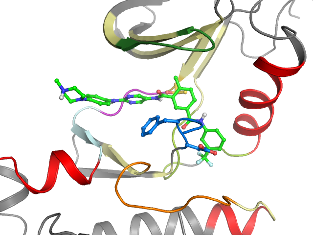 The orthosteric binding pocket