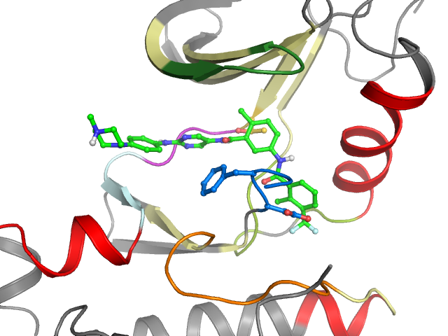 The orthosteric binding pocket