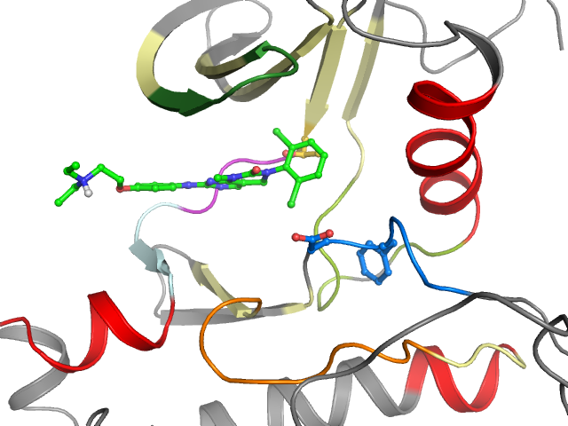 The orthosteric binding pocket