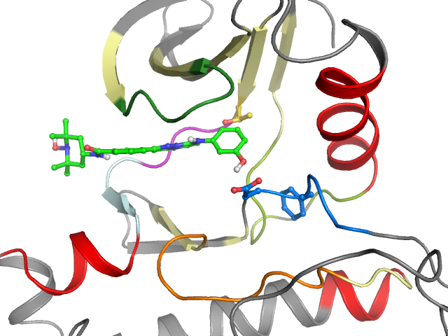 The orthosteric binding pocket