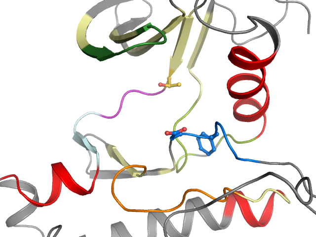The orthosteric binding pocket