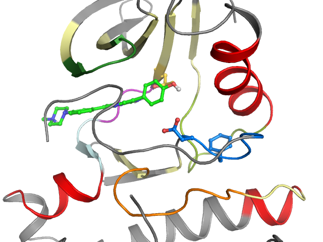 The orthosteric binding pocket