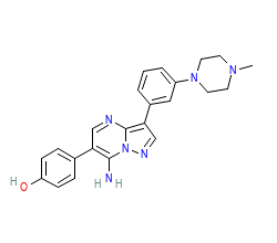 2D structure of the orthosteric ligand