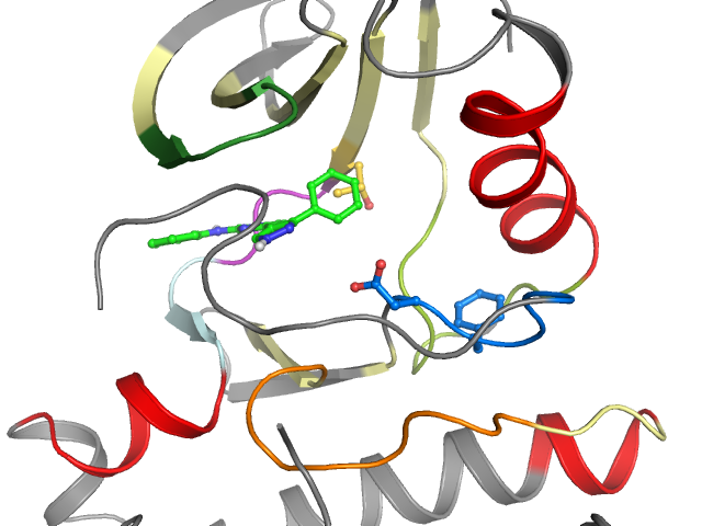 The orthosteric binding pocket