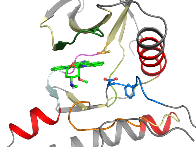 The orthosteric binding pocket