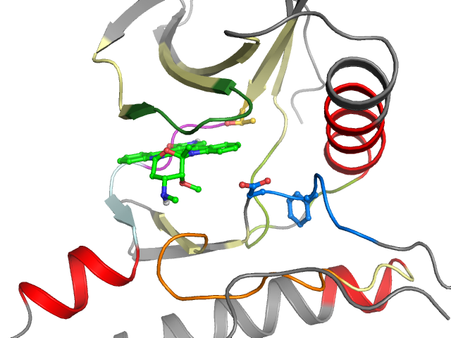 The orthosteric binding pocket