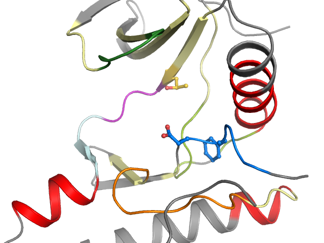 The orthosteric binding pocket