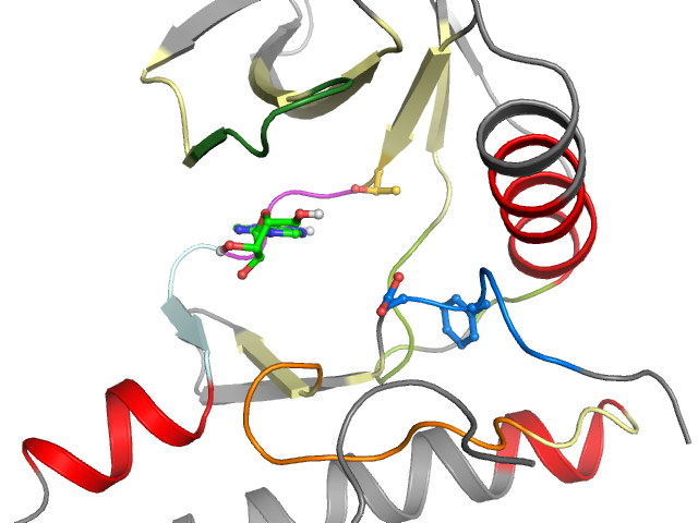 The orthosteric binding pocket