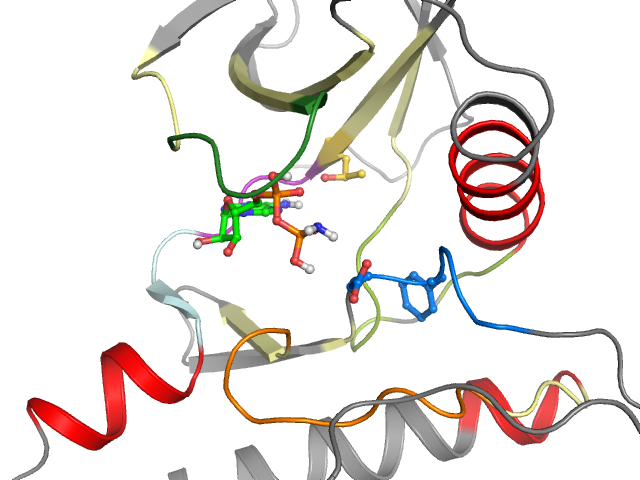 The orthosteric binding pocket