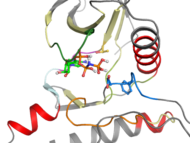 The orthosteric binding pocket