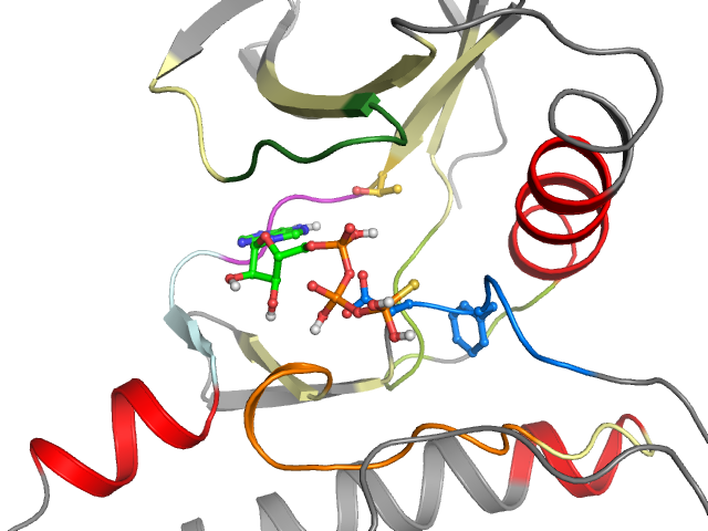 The orthosteric binding pocket