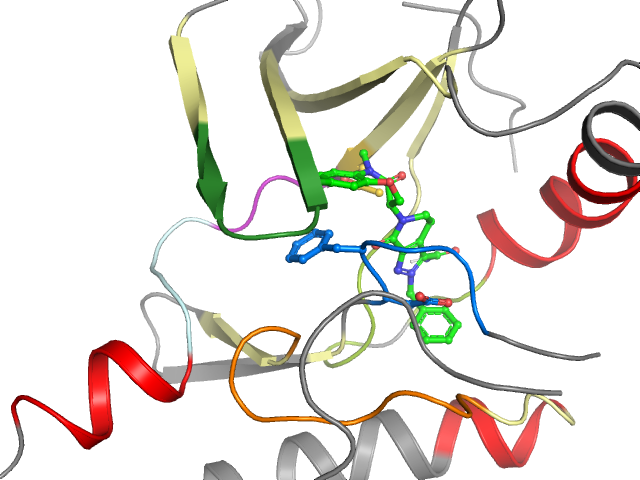 The orthosteric binding pocket