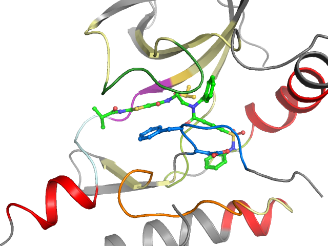 The orthosteric binding pocket