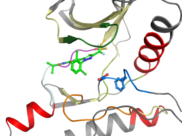 The orthosteric binding pocket