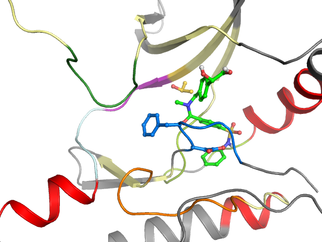The orthosteric binding pocket