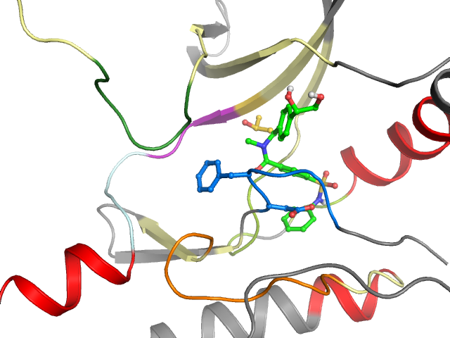 The orthosteric binding pocket
