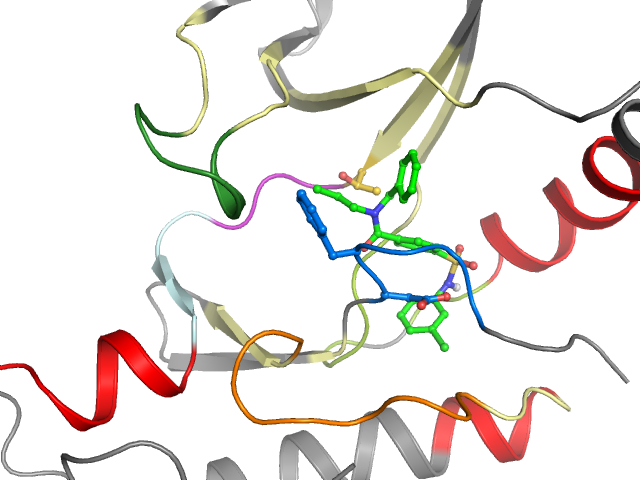 The orthosteric binding pocket