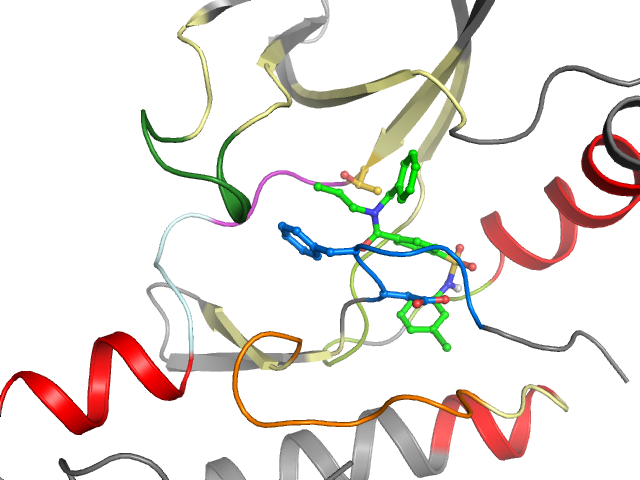 The orthosteric binding pocket