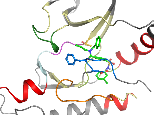 The orthosteric binding pocket
