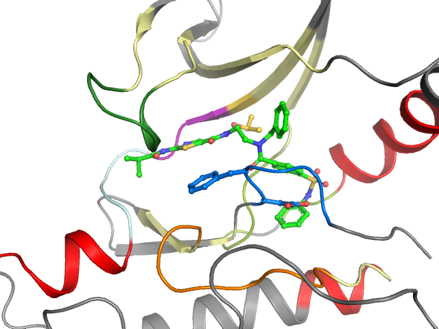 The orthosteric binding pocket
