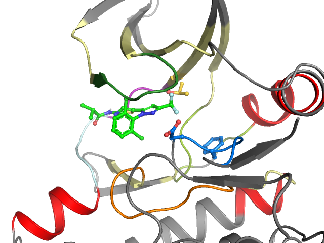The orthosteric binding pocket