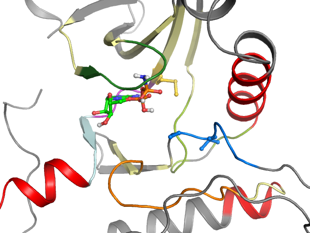 The orthosteric binding pocket