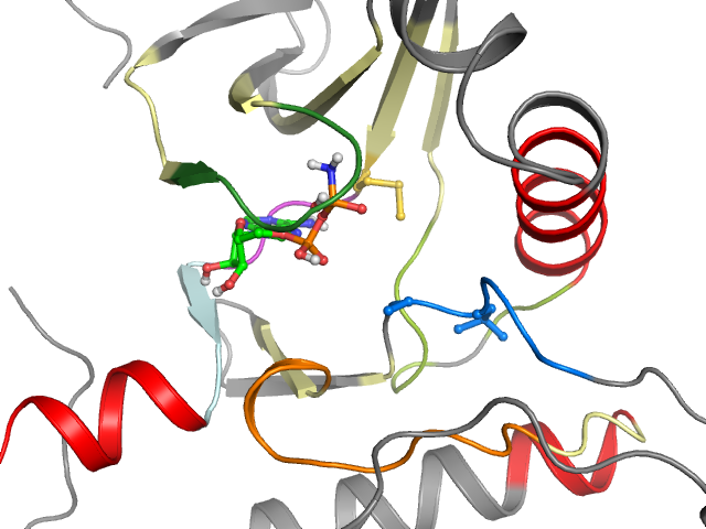 The orthosteric binding pocket
