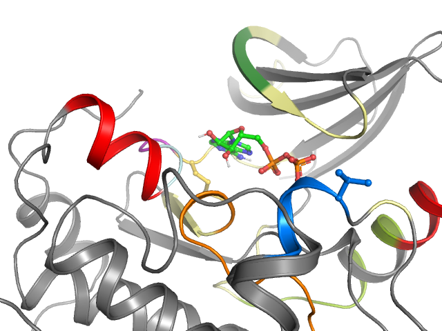 The orthosteric binding pocket