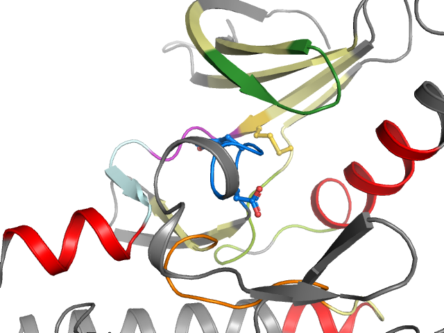 The orthosteric binding pocket