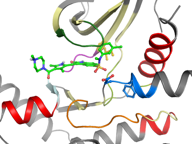The orthosteric binding pocket