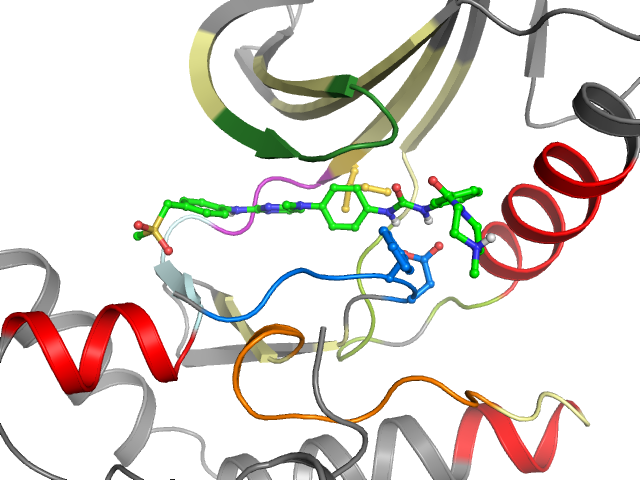 The orthosteric binding pocket
