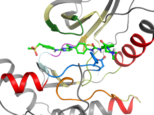 The orthosteric binding pocket