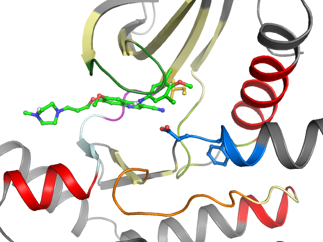 The orthosteric binding pocket