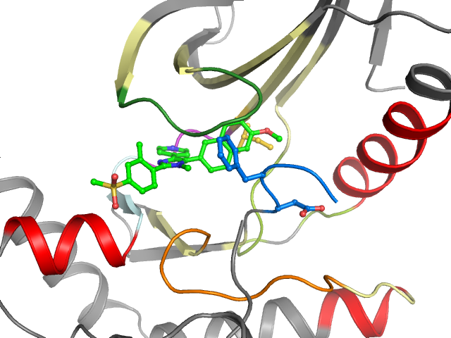 The orthosteric binding pocket