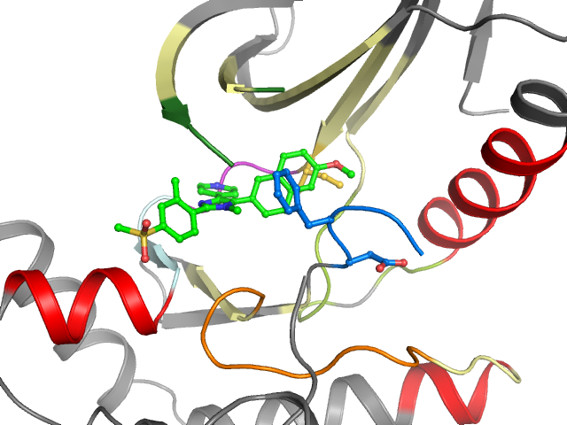 The orthosteric binding pocket