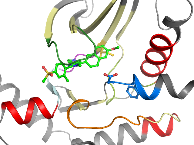 The orthosteric binding pocket