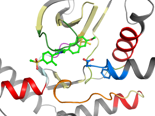 The orthosteric binding pocket