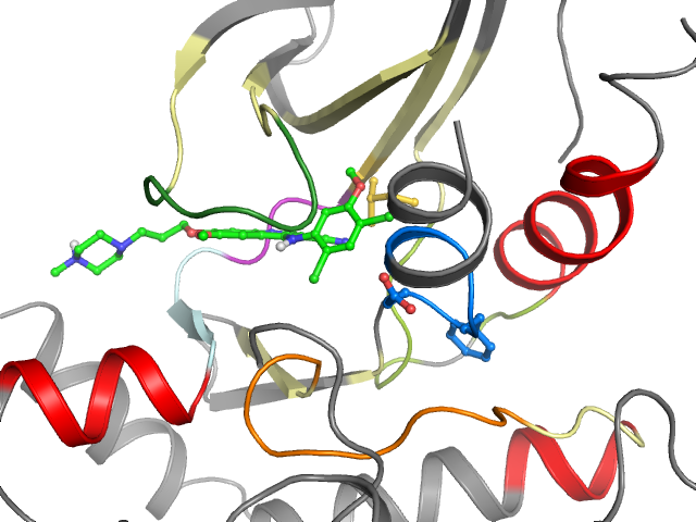 The orthosteric binding pocket