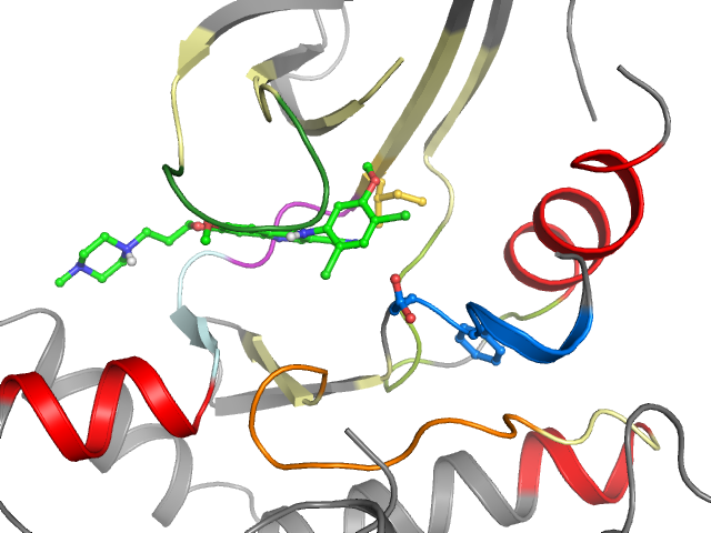The orthosteric binding pocket