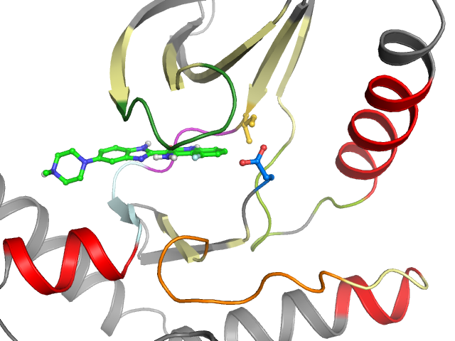 The orthosteric binding pocket