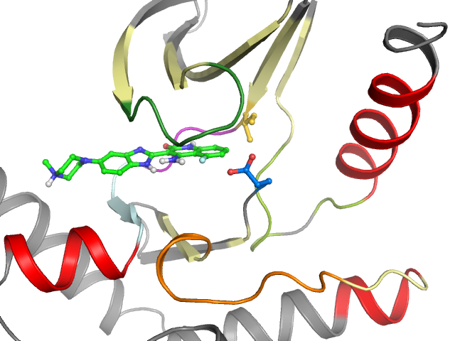 The orthosteric binding pocket