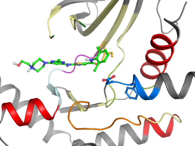 The orthosteric binding pocket