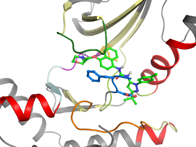 The orthosteric binding pocket