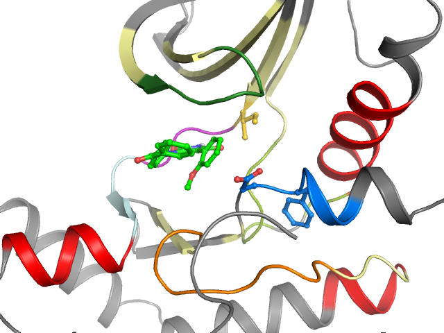 The orthosteric binding pocket