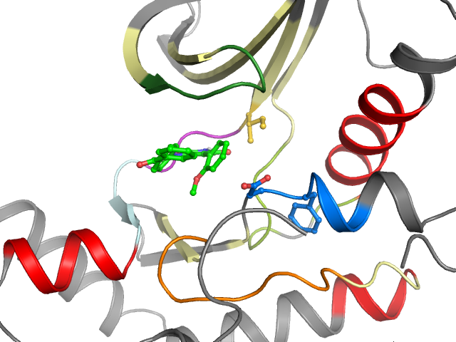 The orthosteric binding pocket