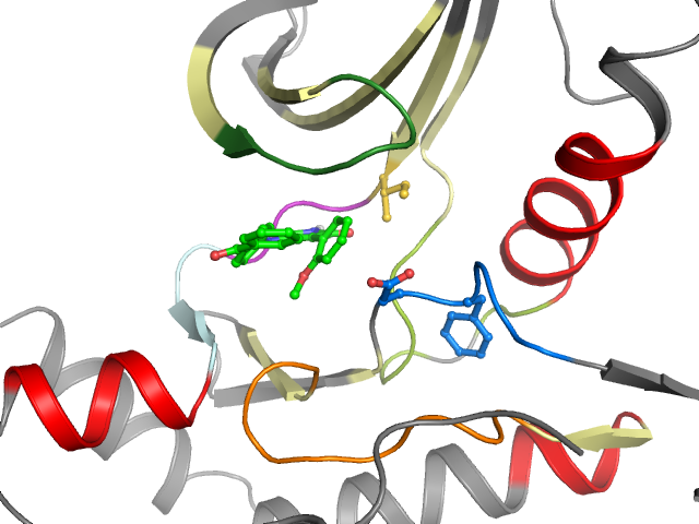 The orthosteric binding pocket