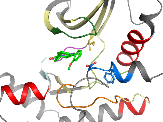 The orthosteric binding pocket