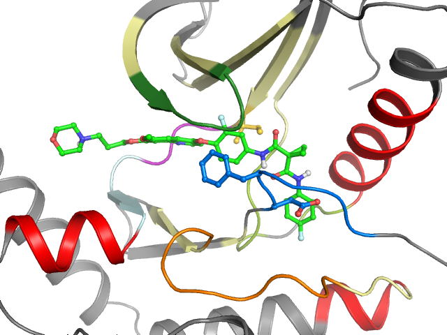The orthosteric binding pocket