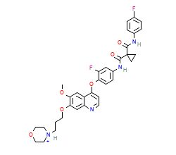 2D structure of the orthosteric ligand